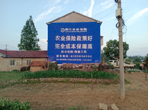 甘孜墙体广告的优劣势你知道吗？